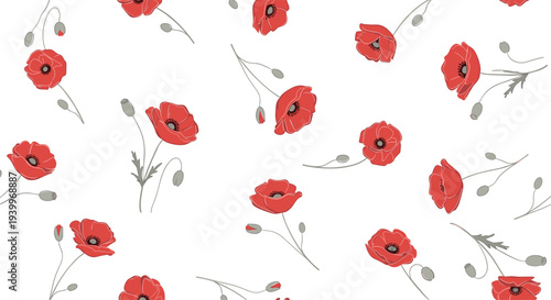 Elegant seamless pattern with red poppy flowers and delicate buds on a clean white background for botanical and nature themes.