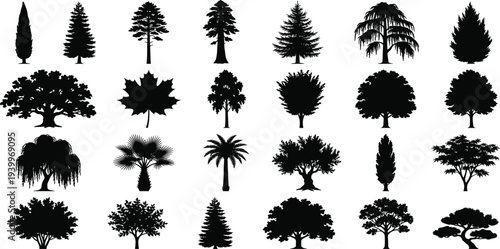 A collection of twenty assorted tree silhouettes against a plain background from a straightforward viewpoint