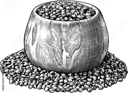 Buckwheat in basket vintage woodcut illustration isolated on transparency background