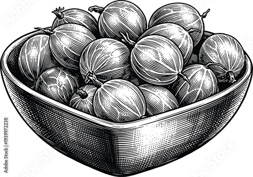 Gooseberry fruit in bowl vintage woodcut illustration isolated on transparency background