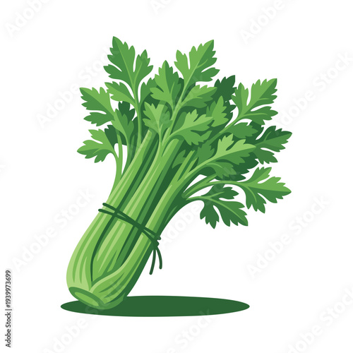 Fresh Green Celery Bunch