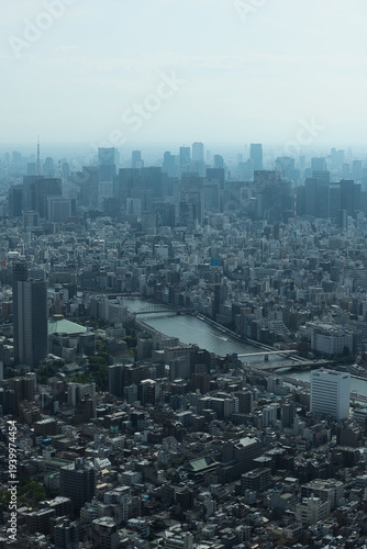 Obraz na plátně Tokyo cityscape with Sumida River viewed from Tokyo Skytree