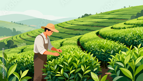 Farmer tending rows of green tea plants. Wears straw hat and work boots. Lush hills roll behind rows of tea. Gentle hands pluck fresh leaves. Sunlight bathes tranquil countryside