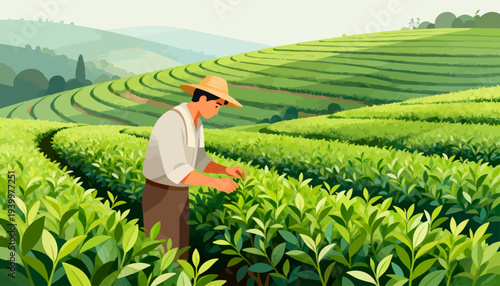 Farmer tending tea plants in a vast green field. He wears a straw hat and works gently among rows. Sunlight warms the hills behind his focused movement. Lush leaves fill the foreground with rich