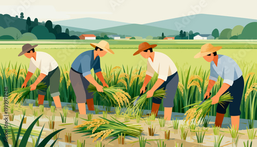 Farmers harvest rice in golden fields under gentle sunlight. They bend low, working in rhythm with the season's bounty. Green stalks yield to their hands, each sheaf a symbol of effort