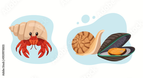 Hermit crab and snail with mussel illustration