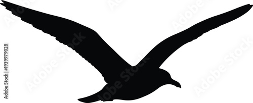 Black flying seagull silhouette isolated on white background, minimal wildlife vector illustration for logo branding, nature design, stock photography commercial use