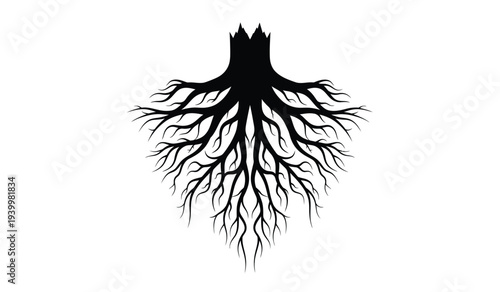 Black silhouette of tree roots