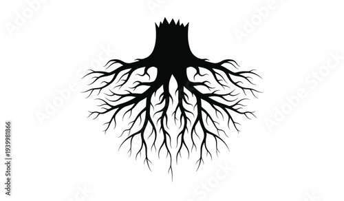 Black silhouette of tree roots on