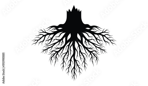 Black silhouette of tree roots on