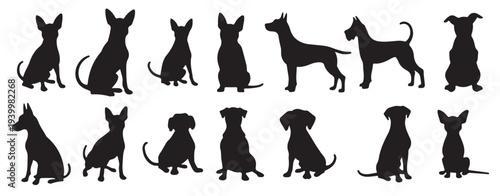black silhouettes of dogs in various poses 