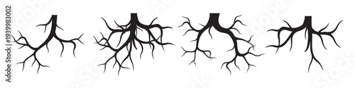 Set of black Tree Roots. Vector outline Illustration and nature image.