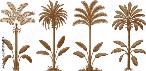 Palm tree silhouettes illustration, tropical botanical artwork, vintage sepia vector, exotic nature design icon, decorative foliage graphic drawing