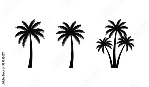 Black silhouettes of palm trees