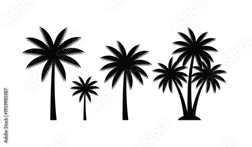 Silhouettes of various palm trees