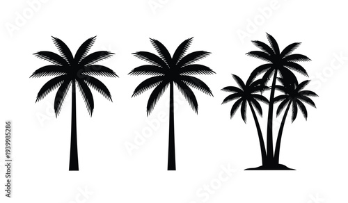 Three black palm tree silhouettes
