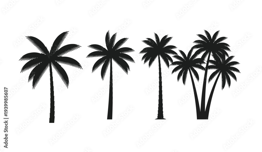Obraz premium Set of black silhouette palm trees
