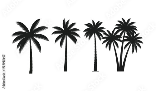 Set of black silhouette palm trees