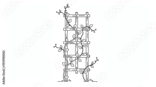 Black and white line drawing of a wooden trellis with climbing vines and leaves growing upward on a plain white background