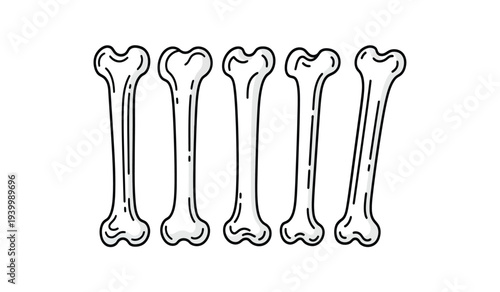 Illustration of six femur bones in a row