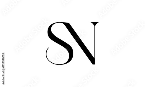 SN initial letter logo OR SN monogram