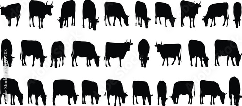 Black Cow Silhouette Set for CAD Drawing Flat Vector Illustration Livestock Cattle Farm Animals Agriculture Grazing Bovine Collection for Architectural Rendering