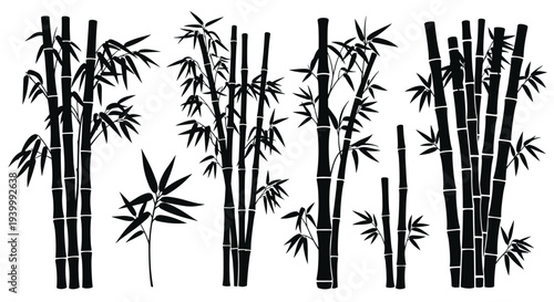 Set of black bamboo silhouettes with different plant arrangements and leaves represents peaceful and oriental nature for interior design.