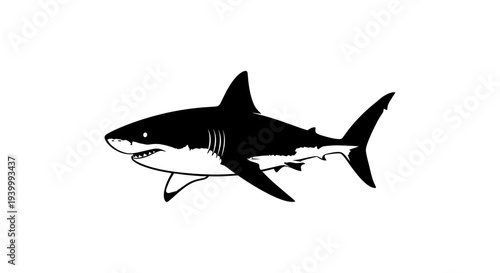 Black and White Silhouette of a Great White Shark Swimming