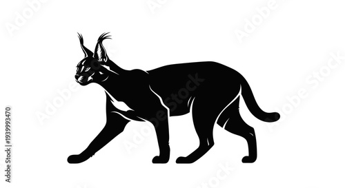 Black Caracal Silhouette Walking Isolated On White Background, Wild Cat Vector Art