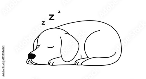 Simple black and white line drawing of a small puppy dog sleeping peacefully in a curled position on a solid white background for kids art.