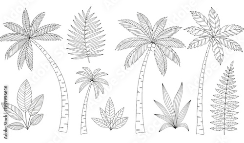 A set of palm tree illustrations and leaves in a minimalist line art style