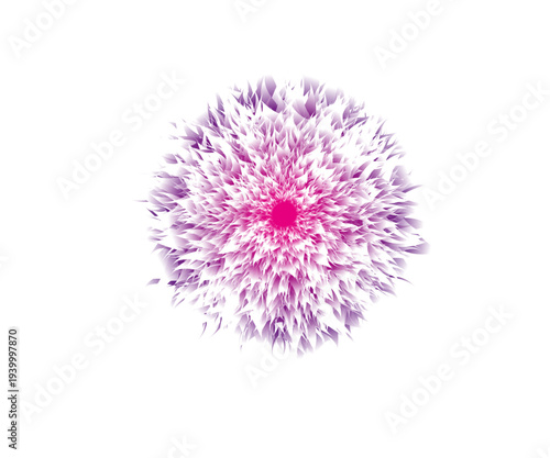A macro closeup of a purple thistle flower and pink allium blossom isolated on white, showcasing a summer nature plant in vibrant spring bloom