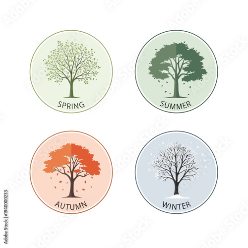 Four Seasons Tree Icons: Spring, Summer, Autumn, Winter Cycle