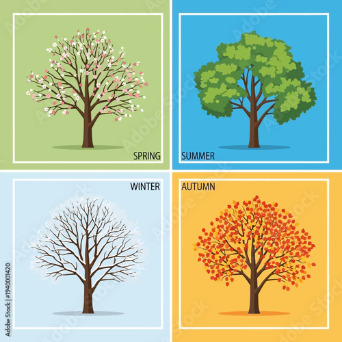 Four Seasons Tree Cycle: Spring, Summer, Autumn, Winter. Nature's Annual Transformation.