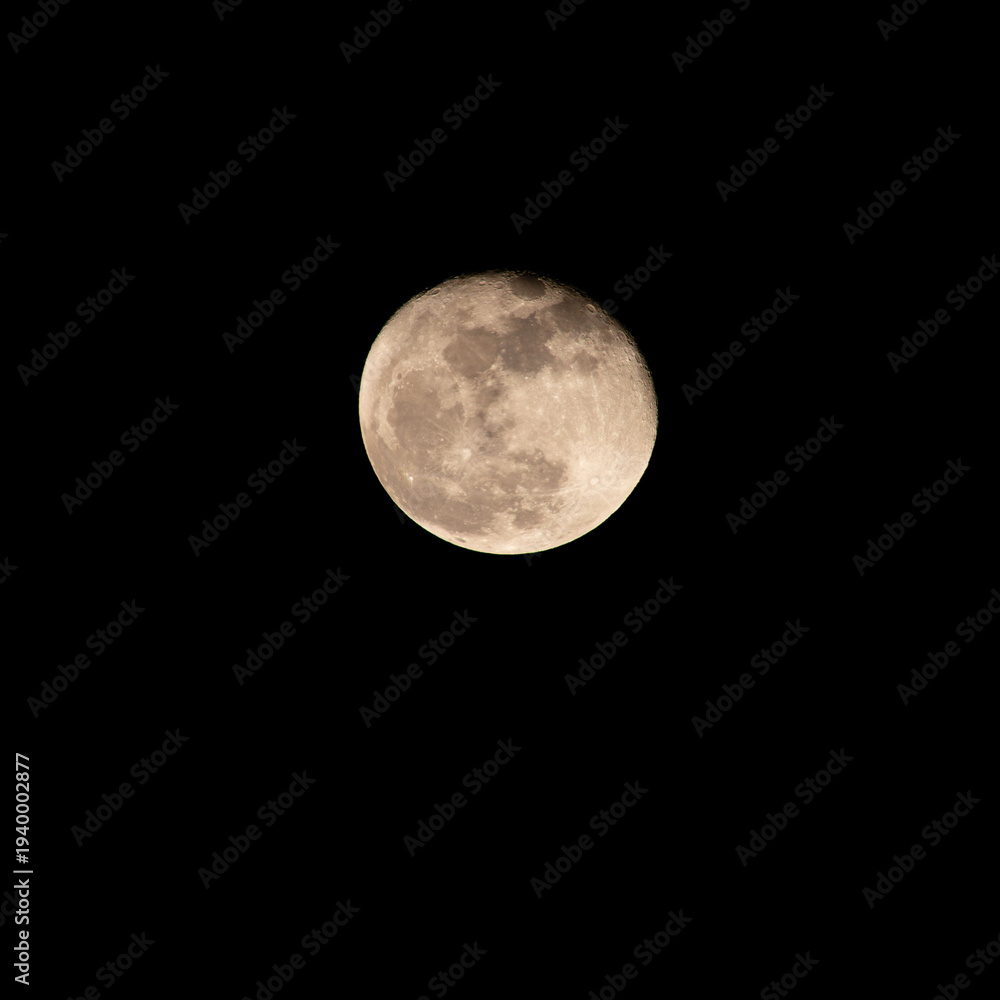 Fototapeta premium 早春の夜空に浮かぶ月のクローズアップ38