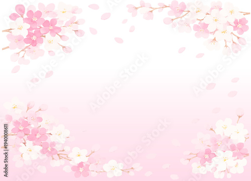 桜の花びらが散るお花見背景　ピンクと白の穏やかなグラデーション　ベクター