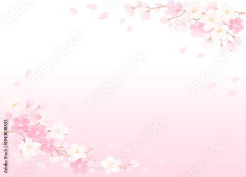 桜の花びらがひらひら舞う背景素材　ベクター