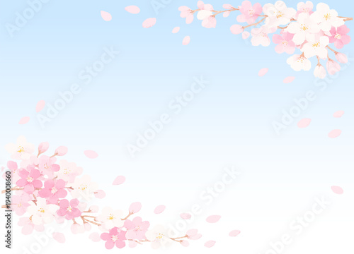 青空のグラデーションを背景に桜の花びらが舞うフレーム画像素材