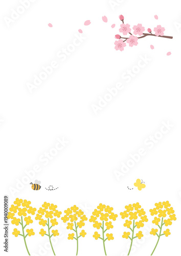春の背景イラスト　春のバナー　　春の花とミツバチとチョウチョのイラスト　菜の花　チューリップ　フレーム素材