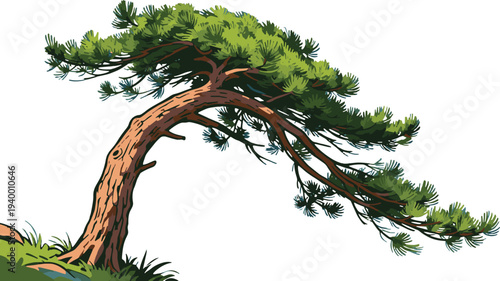 vector illustration of a tree