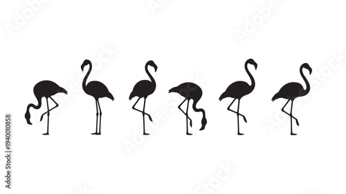 Flamingos silhouette set with various poses and elegant curved necks standing on one leg on a white background, symbolizing grace