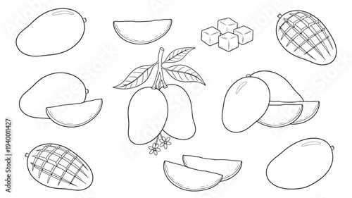 Mangoes whole and sliced, cubical pieces and branches with leaves and flowers, a tropical fruit illustration