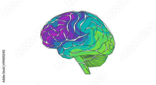 Detailed colorful illustration of the human brain, highlighting various lobes and cognitive areas, symbolizing intelligence, thought, and mental health.
