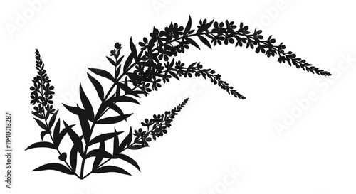 A striking floral arrangement of delicate wildflowers and leafy stems is presented as a bold silhouette high quality