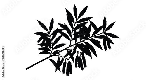 A striking black silhouette of a blossoming branch with delicate leaves and flowers nature s elegance in silhouette