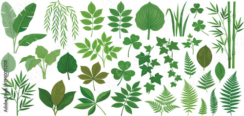 A diverse collection of green leaves and plants arranged in a visually appealing composition, showcasing various shapes and textures from different species, viewed from directly above.