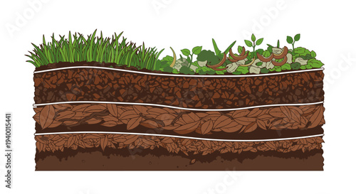 Soil Layers with Grass and Plants.