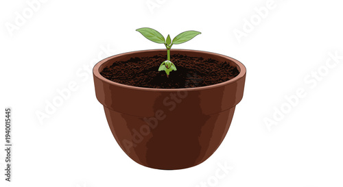 Small Green Seedling in Brown Pot.
