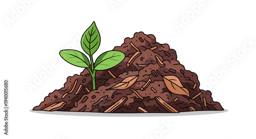 Young Plant Growing in Compost Heap.