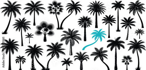 Tropical palm trees silhouetted against a serene landscape viewed from a distant perspective.